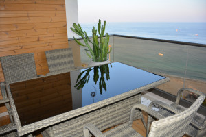 پروژه شارکس